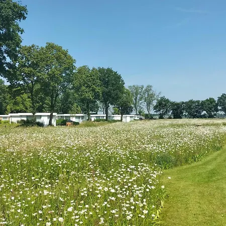 2 Bedroom Amazing In Casa de Férias Afferden (Limburg)