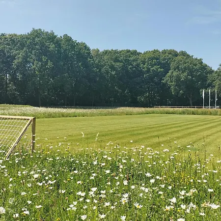 Vakantiehuis 2 Bedroom Lovely In *