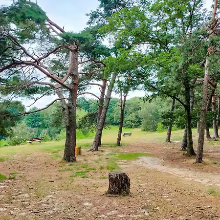 2 Bedroom Amazing In *